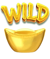 Wild 百搭符號