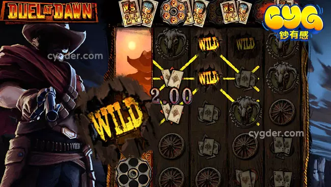 Wild 擴展機制